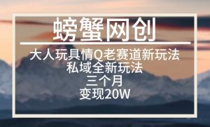 大人玩具情Q用品赛道私域全新玩法，三个月变现20W，老项目新思路【揭秘】-网创学习资源