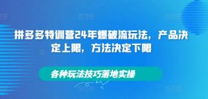 拼多多特训营24年爆破流玩法，产品决定上限，方法决定下限，各种玩法技巧落地实操-网创学习资源