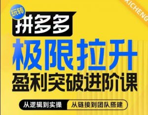 拼多多极限拉升盈利突破进阶课，​从算法到玩法，从玩法到团队搭建，体系化系统性帮助商家实现利润提升-网创学习资源