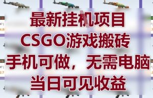 最新挂G项目，CSGO游戏搬砖，手机可做，无需电脑，当日见收益【揭秘】-网创学习资源