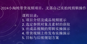 2024小淘纯带货视频项目，无需自己实拍纯剪辑操作-网创学习资源