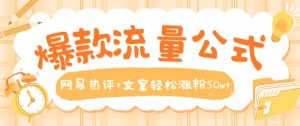 爆款流量公式，网易热评+文案轻松涨粉50w+【揭秘】-网创学习资源