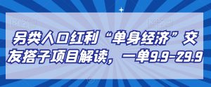 另类人口红利“单身经济”交友搭子项目解读，一单9.9-29.9【揭秘】-网创学习资源
